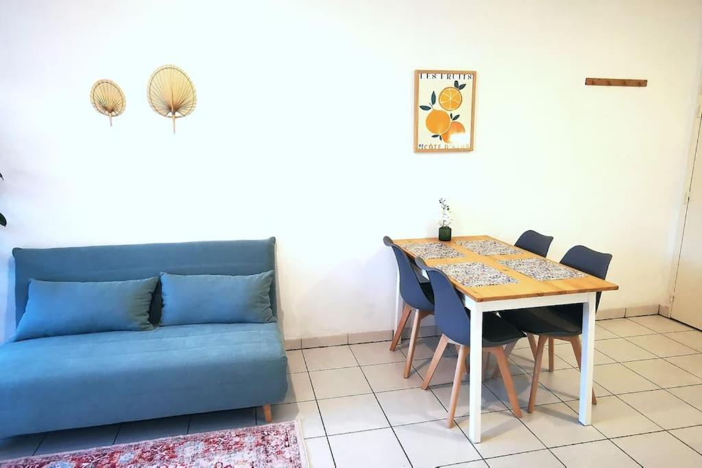 Grand Studio Lumineux Et Sa Terrasse Au Calme Toulouse Exterior foto