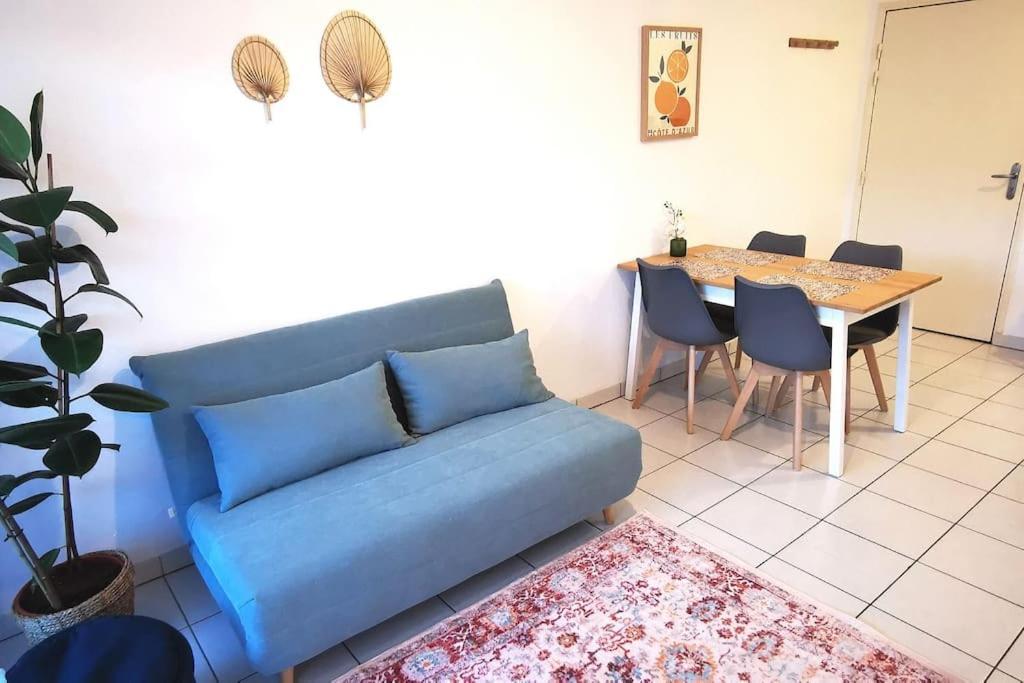Grand Studio Lumineux Et Sa Terrasse Au Calme Toulouse Exterior foto
